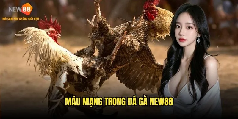 Màu mạng trong đá gà New88