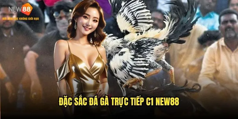Đặc sắc đá gà trực tiếp C1 New88