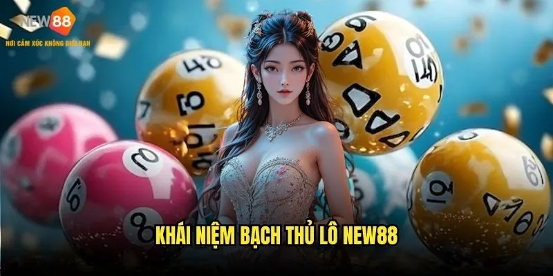 Khái niệm bạch thủ lô New88